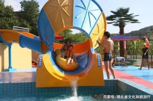 酷爽一夏 在普通露天游乐场所玩水冲浪避暑指南