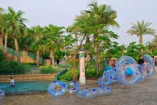 无锡周边 炎夏体感40度？这些“冷得颤抖”的露天水世界让你瞬间降温